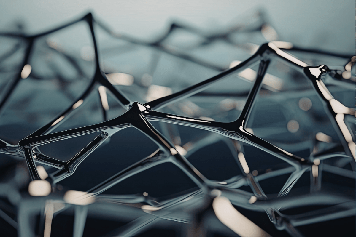 Interconnected networks and systems | scaling fintech